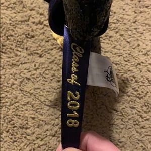 Mickey Mouse ears graduation